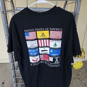 USA A History Of Defiance Flag Gildan Tee